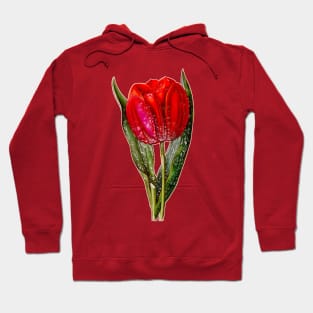 Red Tulip Viscountess Hoodie